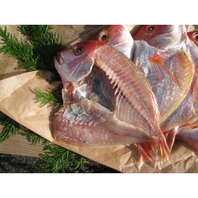 ふるさと納税 宮津市 丹後のお魚屋さん一押しの絶品レンコダイの一夜干し5枚(冷蔵)