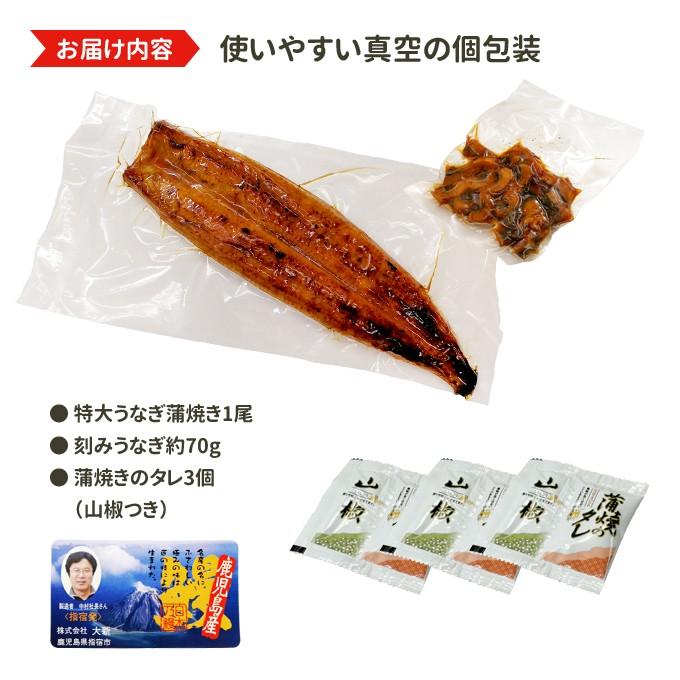 鹿児島産 新 国産 うなぎ蒲焼き 約200g 刻みうなぎ70g 送料無料 海鮮 プレゼント グルメ ギフト