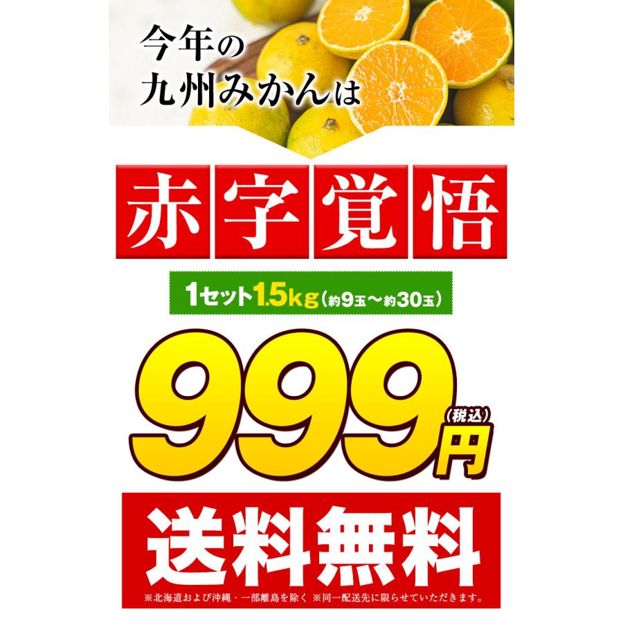 みかん 訳あり 送料無料 2セット購入で1セットおまけ 1セット1.5kg入 お取り寄せフルーツ 柑橘類 ミカン わけあり 九州産 7-14営業日以内に出荷予定