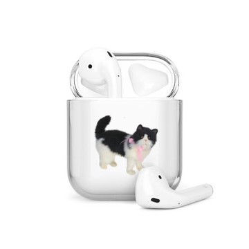 海浪公園【拍三免一】貓咪玩偶適用蘋果無線藍牙耳機airpods pro保護套2代殼airpods3保護殼耳機殼