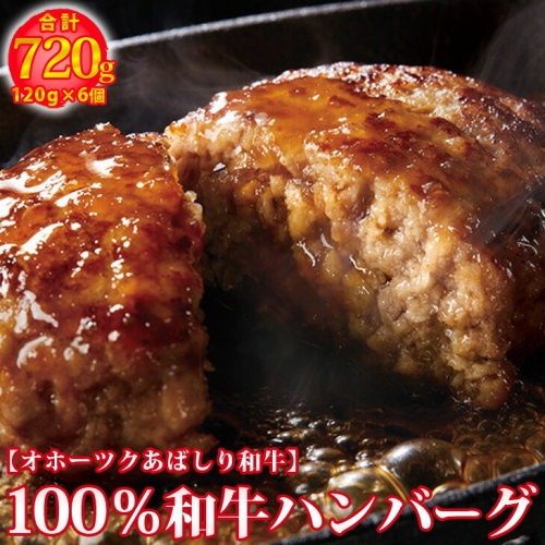 100％和牛ハンバーグ 720ｇ：120ｇ×6個