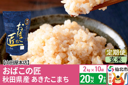 《定期便9ヶ月》令和5年産 仙北市産 おばこの匠 20kg×9回 計180kg 9か月 9ヵ月 9カ月 9ケ月 秋田こまち お米 秋田県産あきたこまち