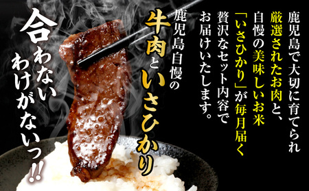 特選お肉とお米定期便　K000-T2327 送料無料 期間限定 定期便 肉 牛肉 黒毛和牛 ステーキ 焼肉 いさひかり 米 お米 ご飯 ライス セット グルメスタジアム 肉のヨコムラ 1129 オービジョン 鹿児島パールライス 鹿児島市 土産 贈り物 プレゼント ギフト 贈答