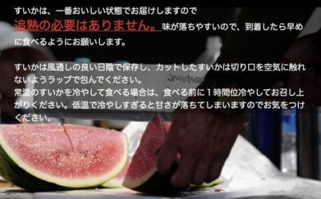 先行予約 スイカ すいか 尾花沢産スイカ 5Lサイズ 約10kg×2玉 7月下旬～8月中旬頃発送 尾花沢 スイカ すいか 令和6年産 2024年産 観光物産 kb-su5xx2