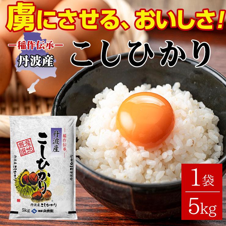 丹波産 こしひかり 10kg（5kgｘ2個セット） 送料無料 米 国産米 精米  コシヒカリ