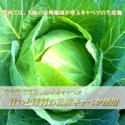 ふるさと納税 泉佐野市 甘いと評判の松波キャベツ使用!生餃子100個セット 010B530