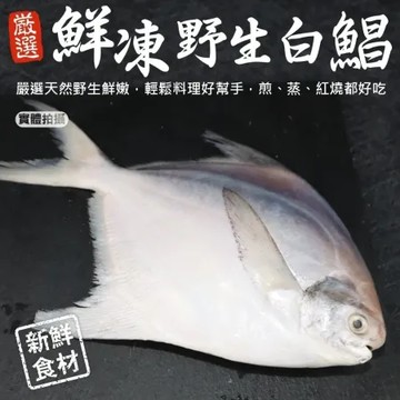 【海肉管家】鮮嫩野生白鯧魚 7件組(220-280G/尾)