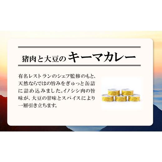 ふるさと納税 島根県 美郷町 猪肉と大豆のキーマカレー5缶セット【450g 90g×5缶 肉 イノシシ肉 加工食品 カレー キーマカレー 在来大豆 天然イノシシ 缶詰 簡…