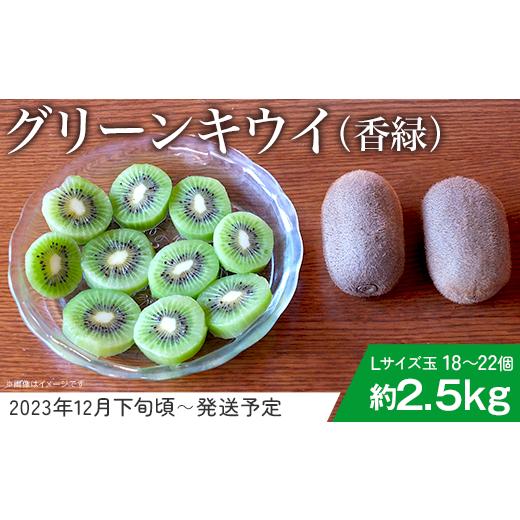 ふるさと納税 茨城県 下妻市 82-03グリーンキウイ（香緑）Lサイズ玉18〜22個セット（約2.5kg）