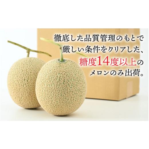 ふるさと納税 福井県 あわら市 アールスメロン 食べ比べ2玉（約1.6kg以上×2玉）青肉、赤肉品種 高級メロン！ ／ マスクメロン 大玉 果物 フルー…