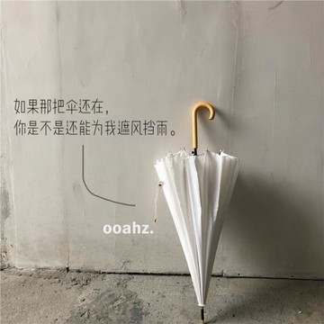 ooahz 適合拍照的治愈白~純色ins長柄雨傘男女實木柄婚慶傘防風