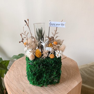 地球是方的 mini zoo系列