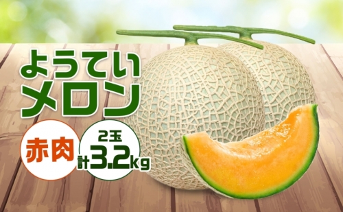 北海道 赤肉メロン 約1.6kg 2玉 メロン 赤肉 果物 フルーツ 甘い 完熟 スイーツ デザート 産直 国産 贈答品 お祝い ギフト羊蹄山 JAようてい 送料無料 北海道 倶知安町