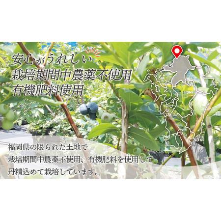 ふるさと納税 急速冷凍！栽培期間中無農薬ブルーベリー600g×3パック　計1.8kg[E2296a] 福岡県福津市