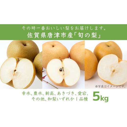 ふるさと納税 佐賀県 唐津市 今が食べ頃 特栽 愛宕梨5kgフルーツ 果物 ギフト