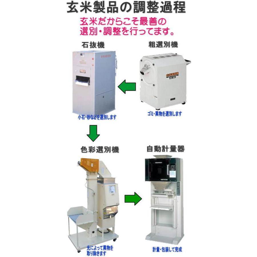  福島県産チヨニシキ20kg　(5kg×4袋) 令和5年産 石抜き処理済