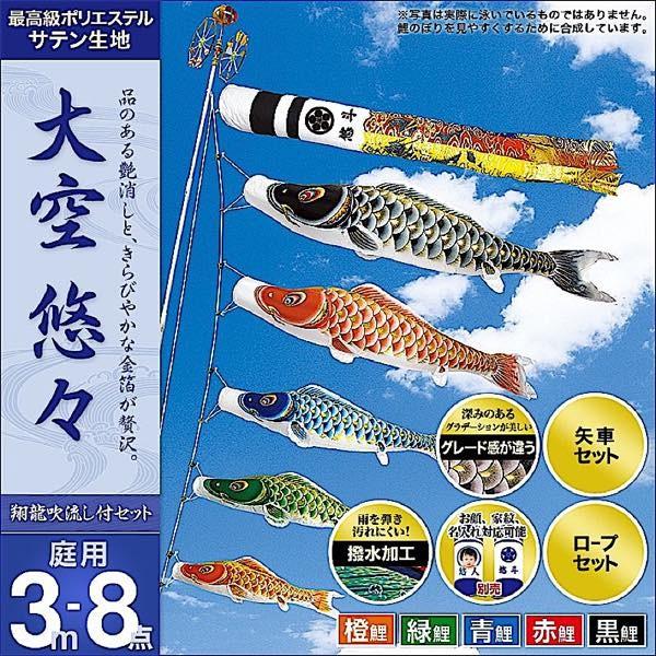 鯉のぼり 庭園用 村上 鯉幟 家紋入れ・名前入れ・お顔写真入れ可能 「大空悠々3m8点セット」