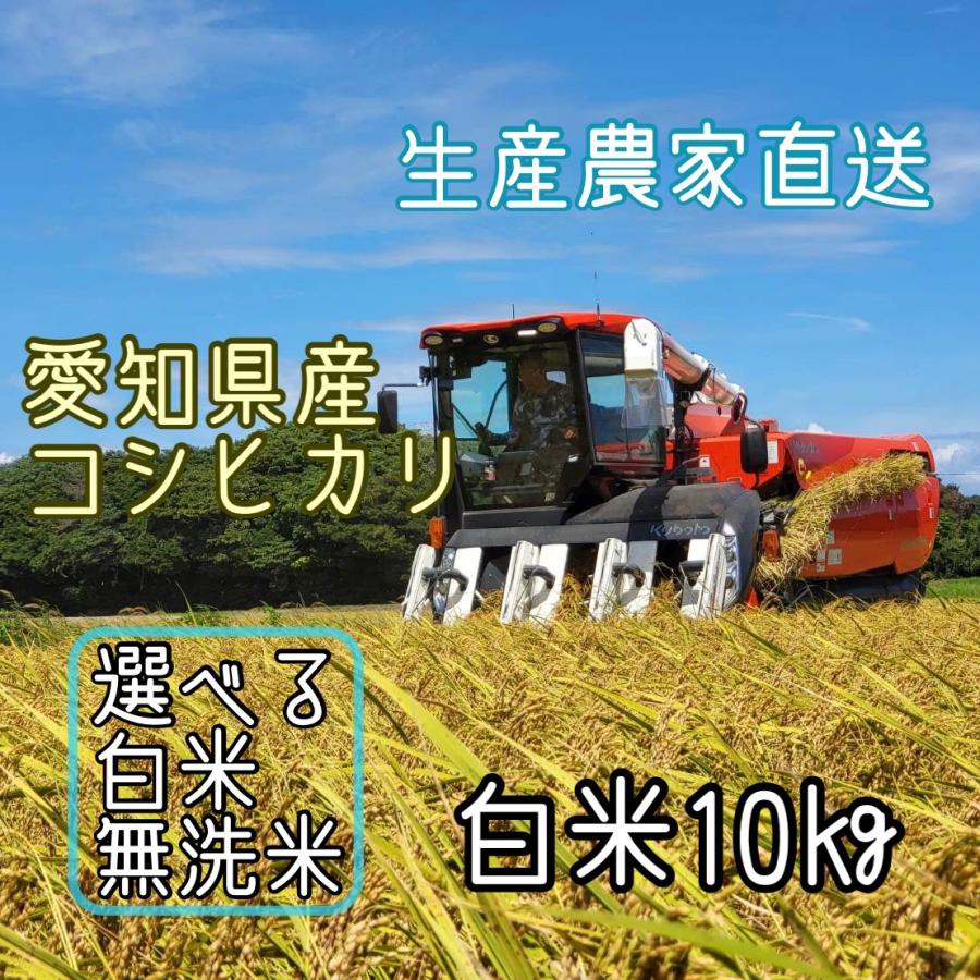 令和5年産　コシヒカリ　10kg　愛知県産　選べる　白米　無洗米　生産農家直送