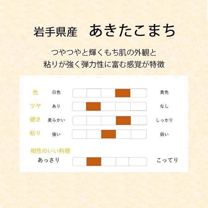 あきたこまち 10kg 5kg×2 令和4年産 米 お米 白米 おこめ 精米 岩手県産 単一原料米 ブランド米 10キロ   国内産 国産