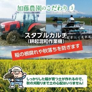 ふるさと納税 SA1723　令和5年産はえぬき　10kg(5kg×2袋)「農家直送」 KA 山形県酒田市