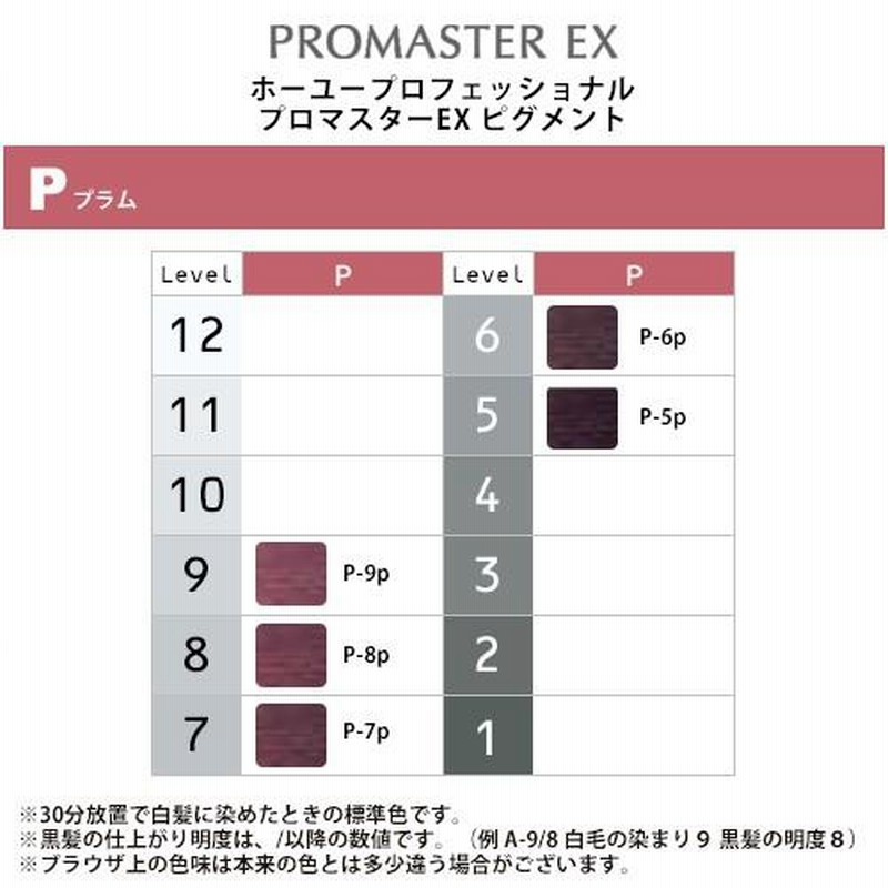 ホーユー プロフェッショナル プロマスターEX ピグメント 1剤 80g プラム|カラー剤美容院専売 メール便対応4個まで | LINEブランドカタログ