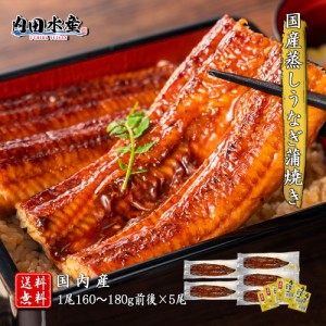  ”国産蒸しうなぎ蒲焼き5尾” 1尾160～180g前後 うなぎ ウナギ 蒲焼き 無頭 国産 水産加工品 蒸し 職人 ギ