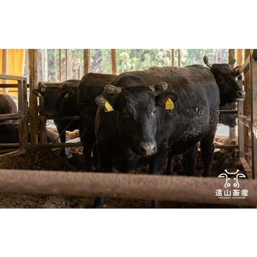 ふるさと納税 静岡県 掛川市 ５５２７　掛川牛「 和牛 」 モモ ・ サイコロ カット 500ｇ 遠山畜産