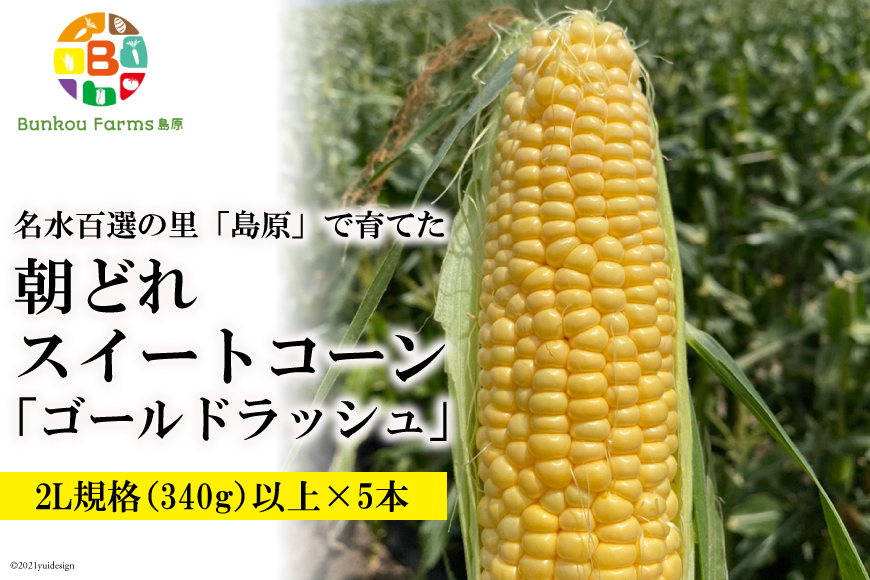BE280 5月中旬から出荷！「朝どれスイートコーン！」2L×5本セット ～名水百選の里 島原産～