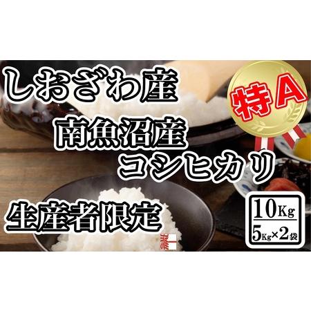 ふるさと納税 生産者限定 契約栽培 南魚沼しおざわ産コシヒカリ10Kg（5Kg×2袋） 新潟県南魚沼市