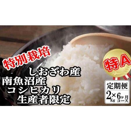 ふるさと納税 特別栽培 生産者限定  南魚沼しおざわ産コシヒカリ 新潟県南魚沼市