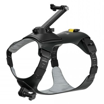 Insta360 寵物背帶支架  黑色  M  1個