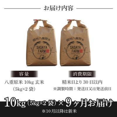 ふるさと納税 東御市 八重原米 玄米 10kg (5kg×2袋)