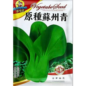 【原裝蘇州青種子 】台灣現貨 家庭菜園 陽台盆栽 四季可種 快速收成 耐熱耐寒 有機蔬菜 自種安心 新手友善 高發芽率