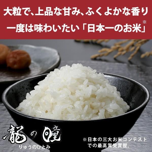 新米 龍の瞳 5kg　岐阜県産 令和5年産米　白米　ご注文後に精米・発送 送料無料（一部地域加算送料）