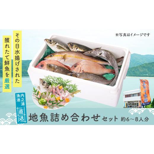 ふるさと納税 鹿児島県 肝付町 C09001 地魚詰め合わせセット(約6〜8人分) 