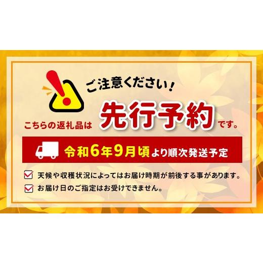 ふるさと納税 長野県 千曲市 爽やかな甘さシャインマスカット2房（1〜1.2kg）