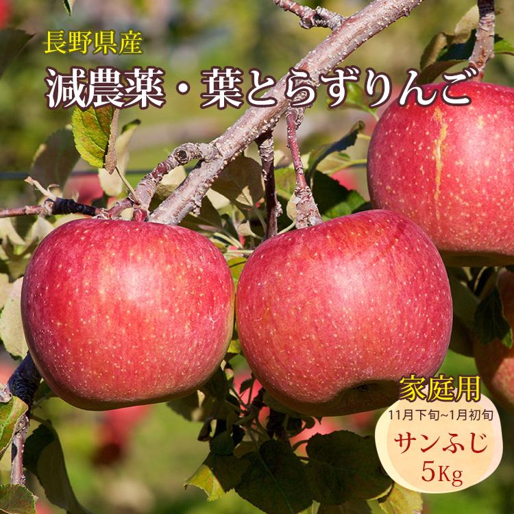 りんご 葉とらずりんご 家庭用 サイズ混合 サンふじ 無袋ふじ 減農薬 5Kg 樹上完熟 長野県産 葉取らず 信州りんご リンゴ 林檎