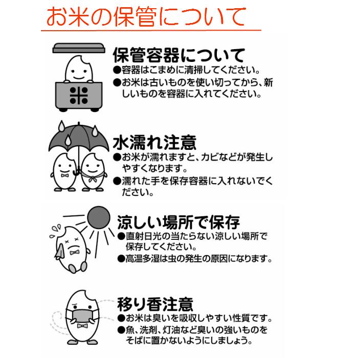 お米 10kg(5kg×2） 山形県産はえぬき 令和5年産