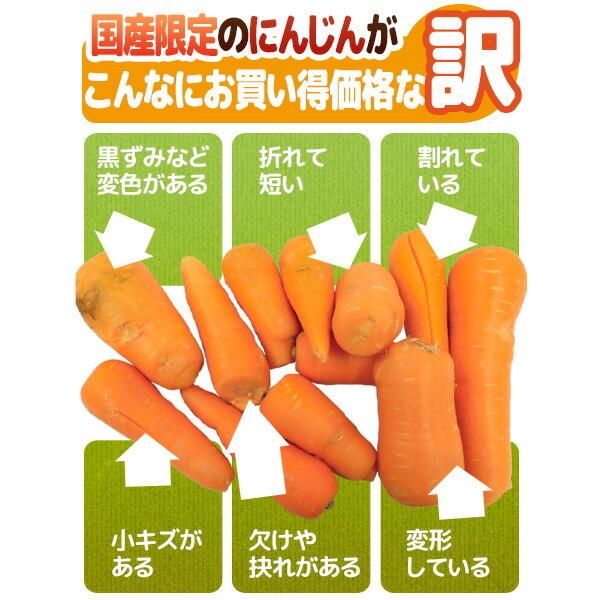 国内産限定 にんじん 訳あり 約10kg [クール便]  送料無料 ［指定日不可］