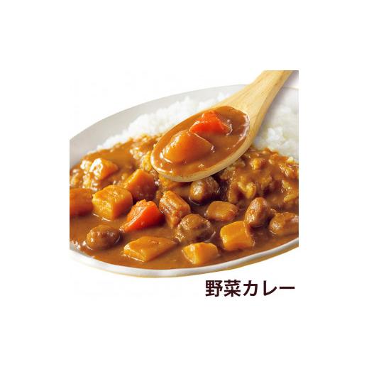 ふるさと納税 栃木県 矢板市 [いつもの味を、ご家庭で！] ココイチカレーDセット (ビーフ3個・ポーク3個・甘口2個・野菜2個・キーマ2個)｜CoCo壱番屋 レトルト…