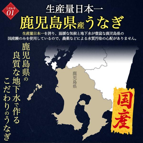 鹿児島県産 鰻 うな丼 2食セット  (250g×2パック) タレ付き レンチン お惣菜 国産 うな重 丼ぶり 丼もの 日本産 お取り寄せ グルメ 熨斗対応可 冷凍便配送