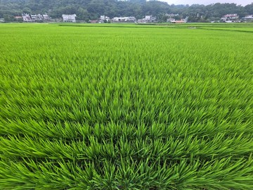 芎林金獅段優質方正美地｜新竹縣芎林鄉金獅段