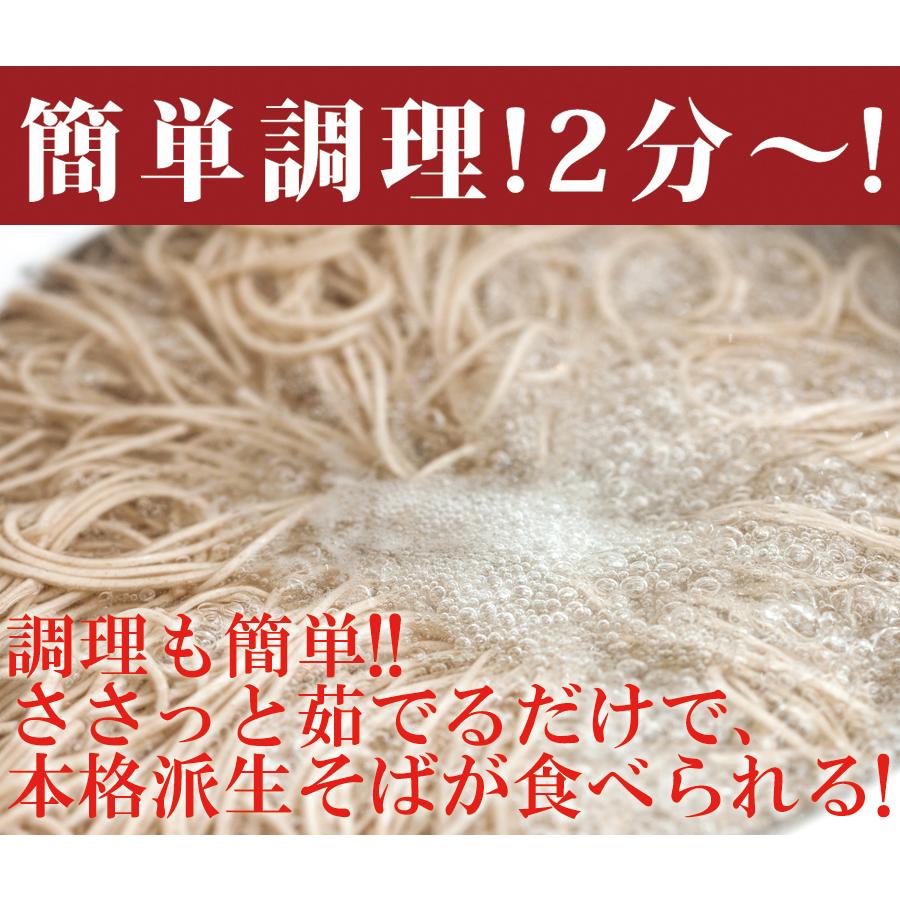 生そば 8食 (180g×4袋) つゆ付 生麺 蕎麦 簡単調理 濃縮つゆ 常温 本格派生そば