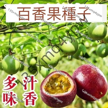 台灣 現貨 百香果種子（150粒） 高產黃金百香果 滿天星 紅皮百香果 香蕉百香果種子 四季種植 高產發芽率高達90%