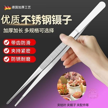 🌈百貨精選🌈鑷子不鏽鋼加厚圓頭多肉魚缸水草工具維修夾子動物餵食取物大捏子