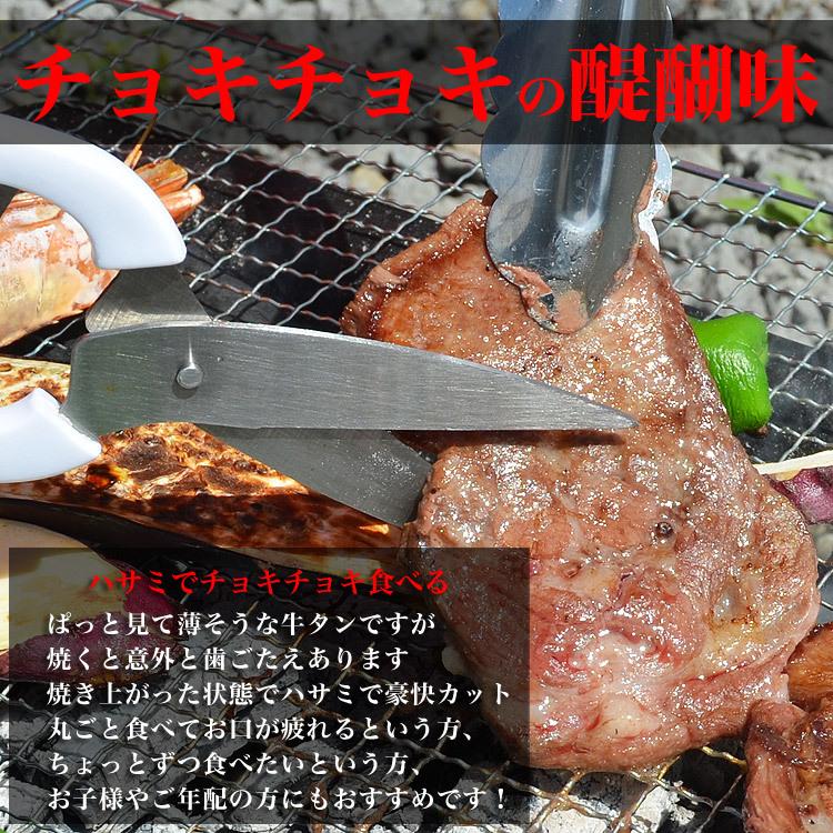 牛タン 500g 2個以上でおまけ特典チャンス (焼肉 BBQ)