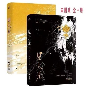 🔥桃園出貨🔥見天光完結 絕對無刪減 冷山 暗河長明 雙男主純愛小說