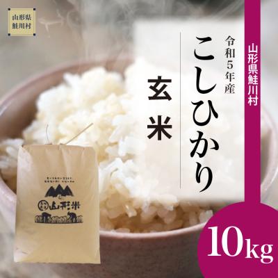 ふるさと納税 鮭川村 令和5年産鮭川村コシヒカリ10kg(10kg×1袋)