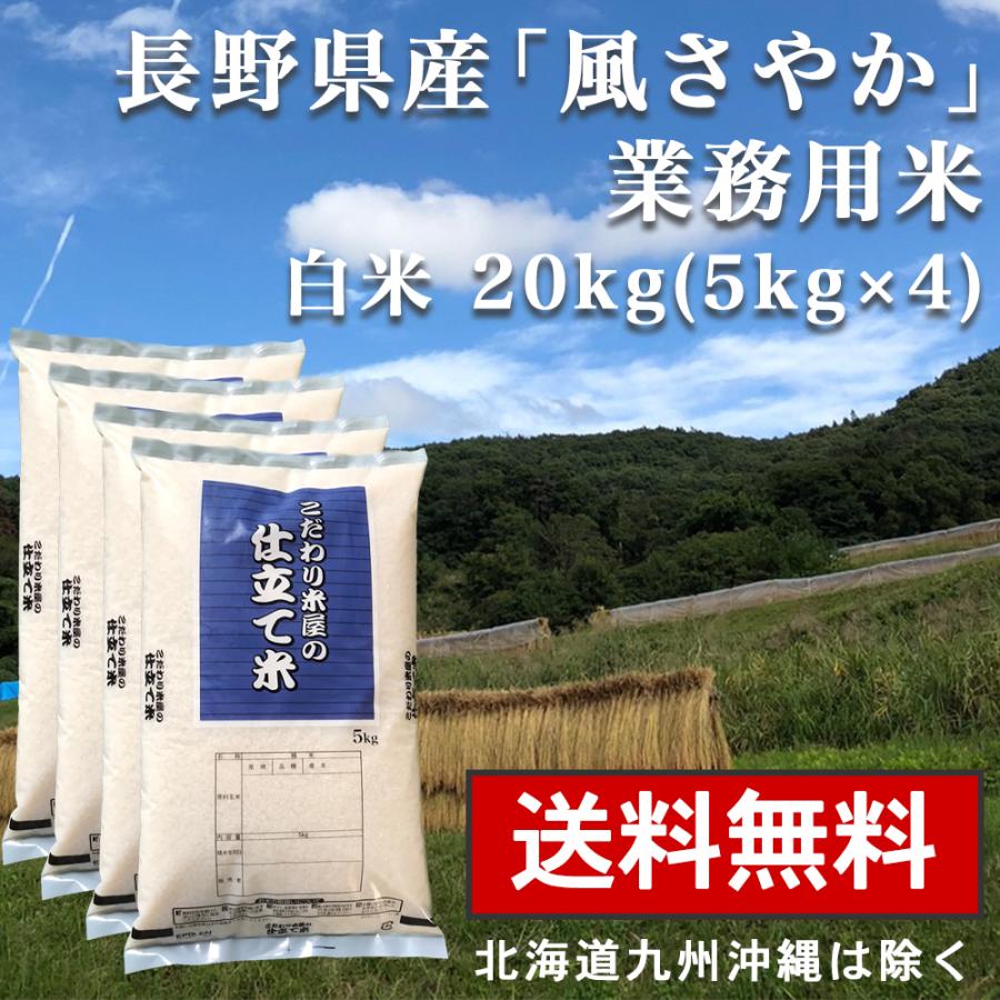 白米 20kg(5kg×4) 送料無料 業務用米 長野県産 白米 風さやか