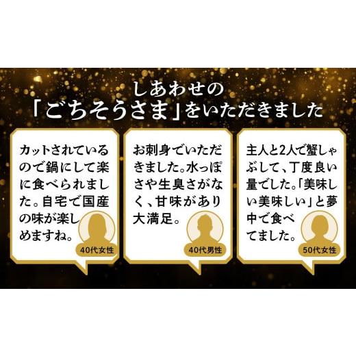 ふるさと納税 福井県 越前市 刺身もOK！越前産 カット済み紅ズワイガニ600g＜熨斗も可＞カニポーション（ハーフ）足棒 かに肩 蟹爪 爪下　の…